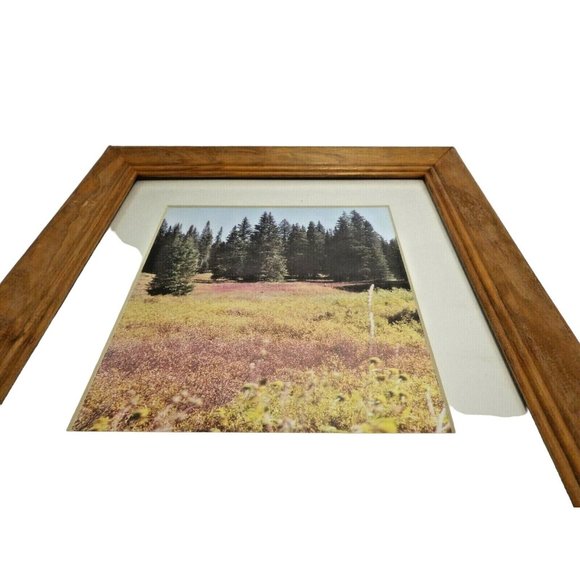 Steamboat Springs Colorado Landscape Trees Framed Photo Print Buffalo Pass - Picture 4 of 8